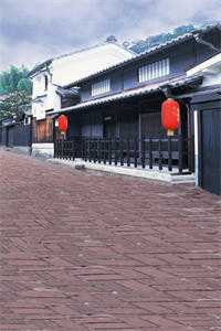 等一场冬雪，许一朝盛愿小说结局