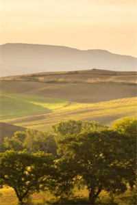 妹妹的烟花比我重要必读文