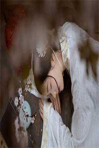 温瓷照星影爆火全网