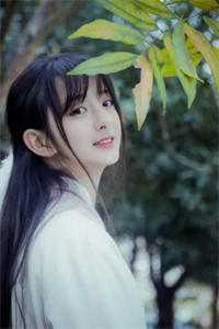 武将兵种系统，开局一万陷阵营李苍渊赵云前文+后续