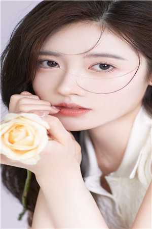 情深朝朝如许陆砚叶汐全局