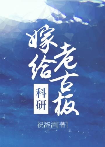 丁克老婆迎回双胞胎，我消失了新上热文