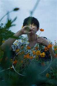 落花时节终不见无删减全文