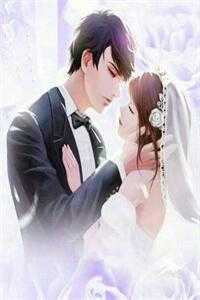 霁雪初晴君已远好看的小说推荐完结