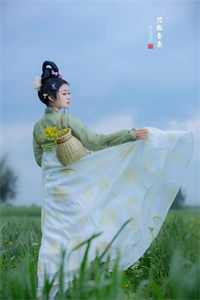 红绸落尽未离书小说畅读