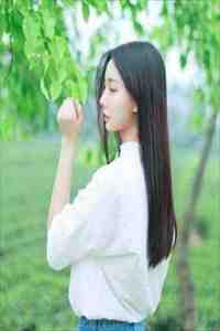 你等南风起，我等故人归楚晚秦斯礼全文+免费