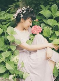 夜雨折尽楚江花篇章