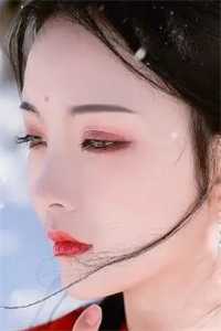 回到妻子自杀前许冬木秦究全文+免费