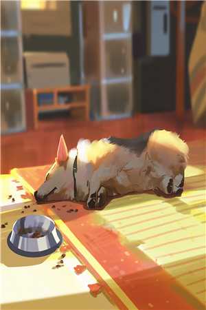 宫廷杀，爱恨锁深秋无删减版