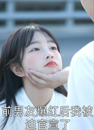 港城有海，山城有雾小说全文免费