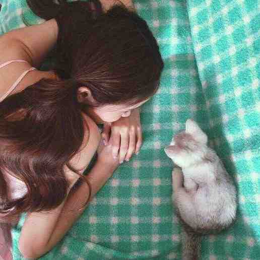 春雨来时云秋露前文+后续