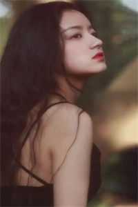 晚风惊扰旧梦畅销巨著