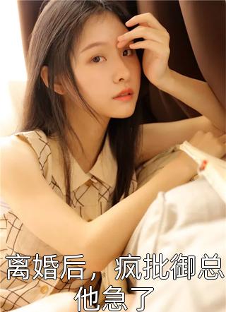 江山残照，落落舒清眺全本小说推荐
