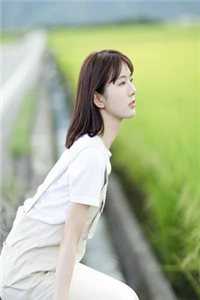 昭昭明月玉成欢小说