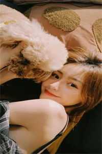 此去经年再无君已完结