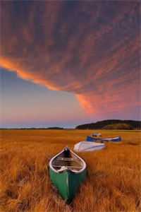 深情辜负免费阅读