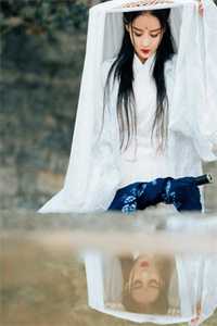 武将兵种系统，开局一万陷阵营好看的小说推荐完结