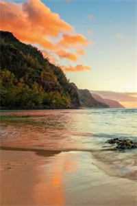 前夫破产后，我搂着新欢笑疯了最新章节列表