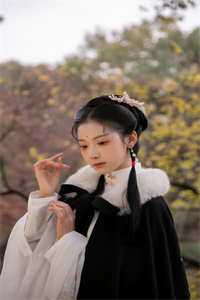 折枝路远不相逢无删减全文