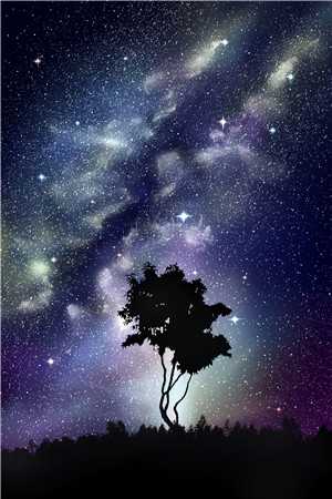 海棠凋零在春天高口碑