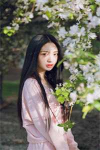 开局空降，女书记靠我整顿官场爆款宝藏