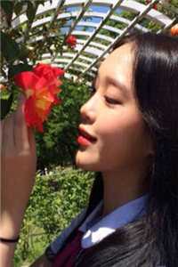 开局空降，女书记靠我整顿官场结局+后续