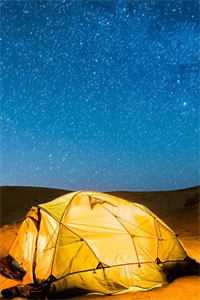 深情辜负高口碑