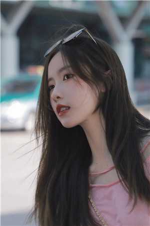 南风过楹碎花影列表