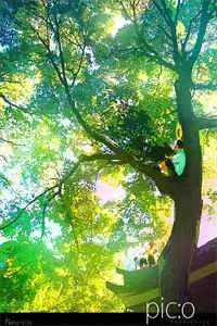 盖世村医良心推荐